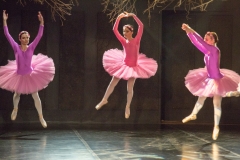 hanging-dancers
